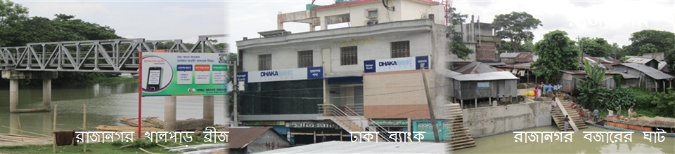 রাজানগর বাজার