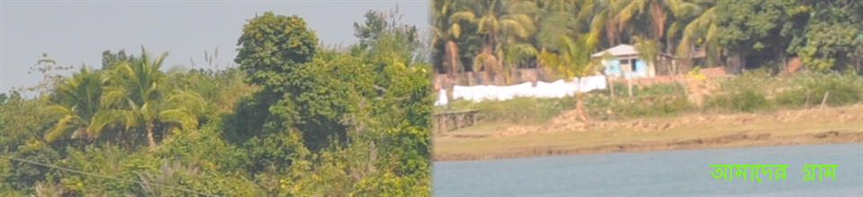 রাজাপালং ইউনিয়ন পরিষদ