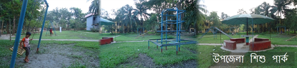 উপজেলা শিশু পার্ক