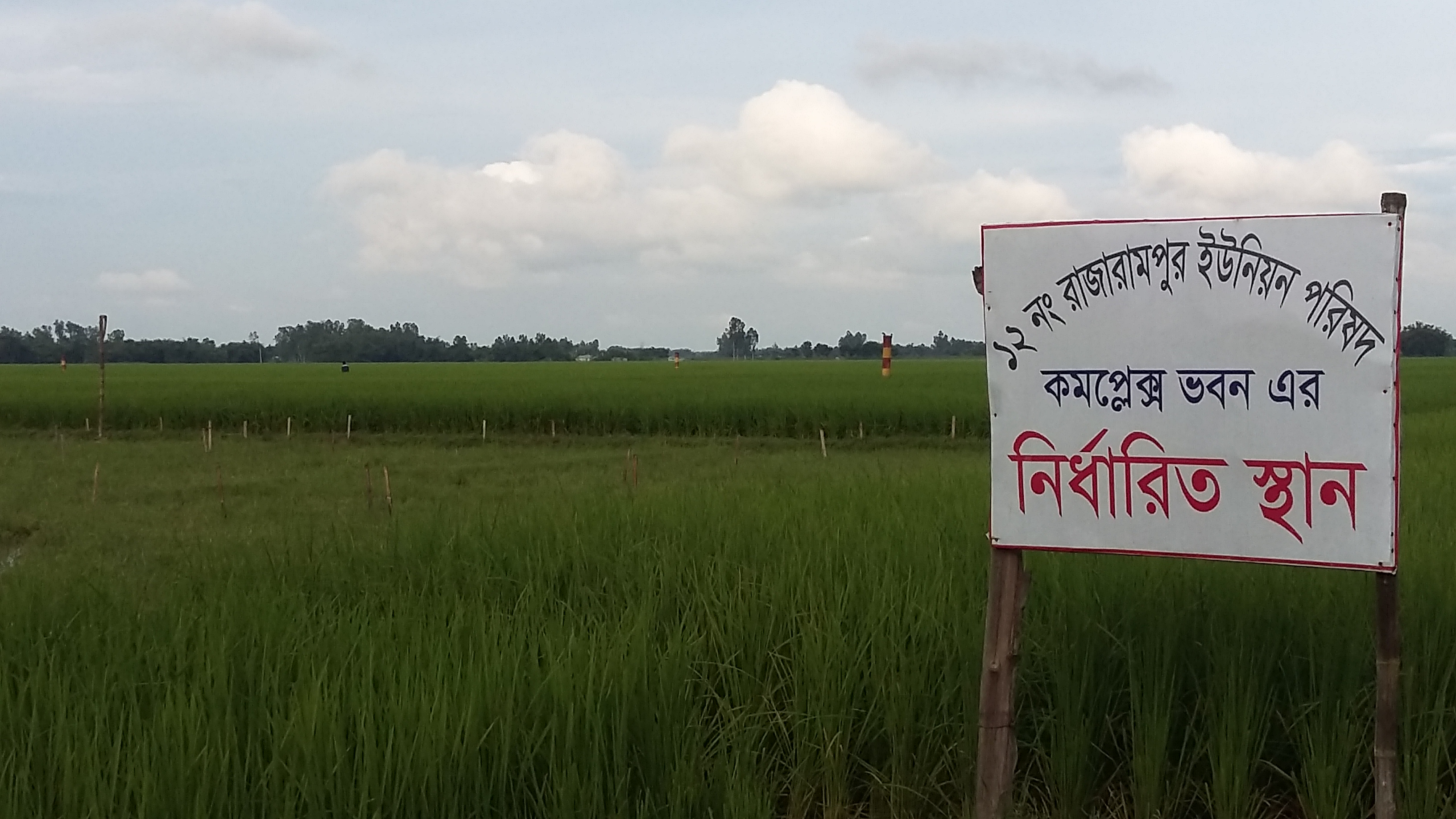 ফটোগ্যালারি 