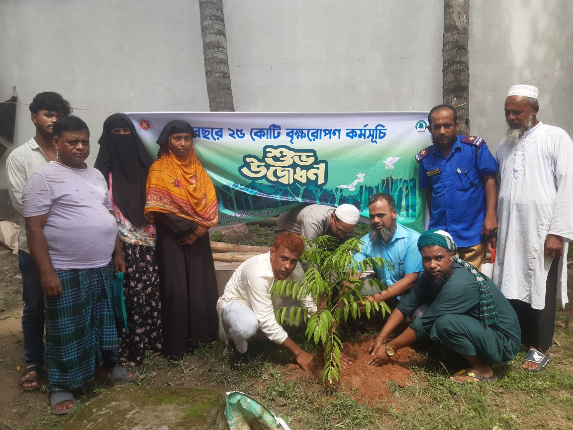 ৫ বছরে ২৫ কোটি বৃক্ষরোপন