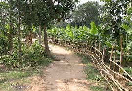 প্রকৌশল