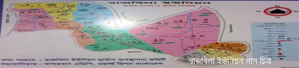 ফটো গ্যালারী