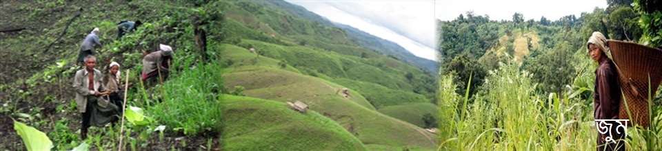 ফটো গ্যালারী