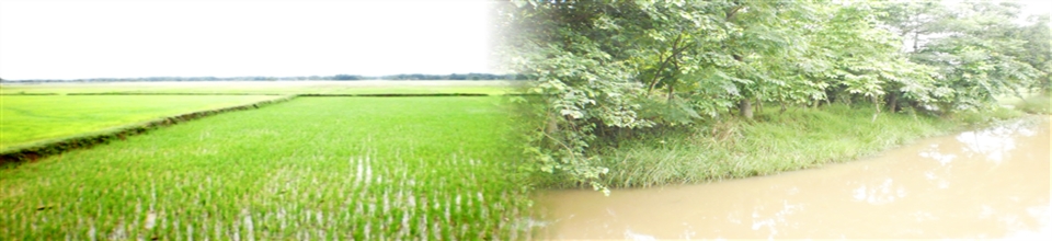 দফকজসদকফজকলাস