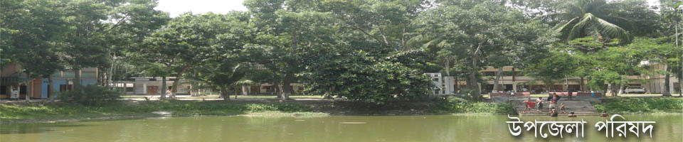 রাজৈর উপজেলা পরিষদ