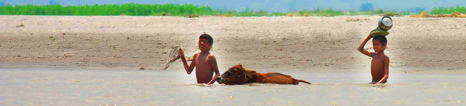 তিস্তার চর