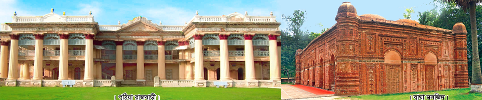 বাঘা মসজিদ