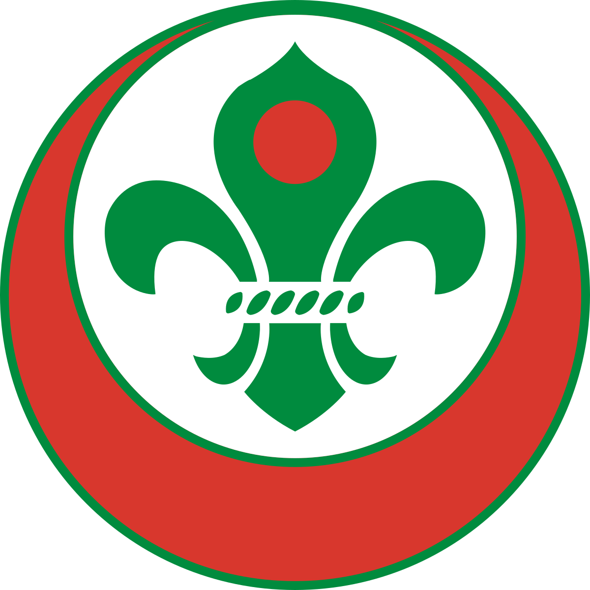 রোভার স্কাউট দল