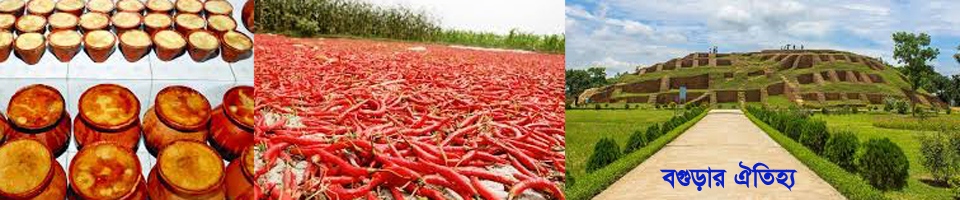 বগুড়ার ঐতিহ্য