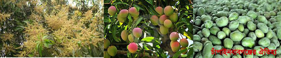 চাঁপাইনবাবগঞ্জের ঐতিহ্য