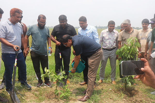 (৩) ৫ বছরে ২৫ কোটি বৃক্ষরোপণ কর্মসূচি “শুভ উদ্বোধন” তারিখ: ১৩ জুন ২০২৬
