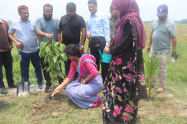 (৫) ৫ বছরে ২৫ কোটি বৃক্ষরোপণ কর্মসূচি “শুভ উদ্বোধন” তারিখ: ১৩ জুন ২০২৬