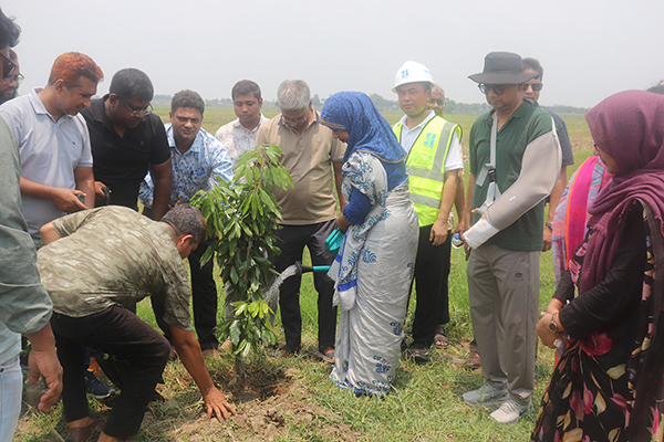 (২) ৫ বছরে ২৫ কোটি বৃক্ষরোপণ কর্মসূচি “শুভ উদ্বোধন” তারিখ: ১৩ জুন ২০২৬