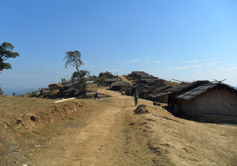 ফটো গ্যালারী