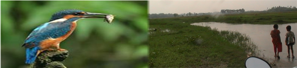 কৃষি ও প্রণী সম্পদ সেবা