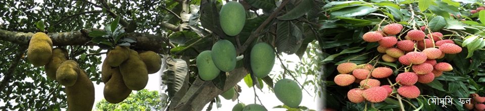 মৌসুমি ফল।