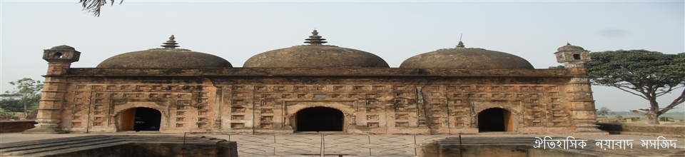 নয়াবাদ মসজিদ।