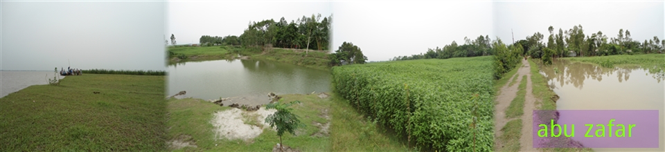 দীঘির পাড় 