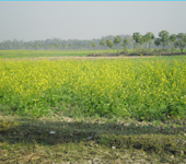 ভূমি অফিস