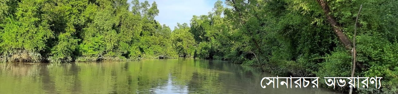 সোনারচর অভয়ারণ্য