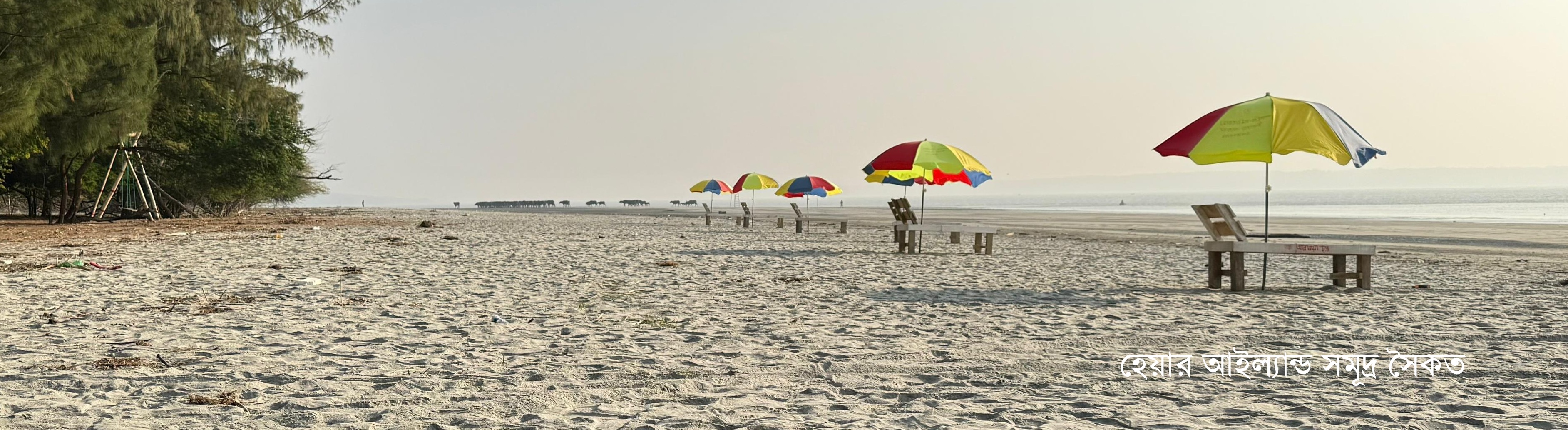 হেয়ার আইল্যান্ড