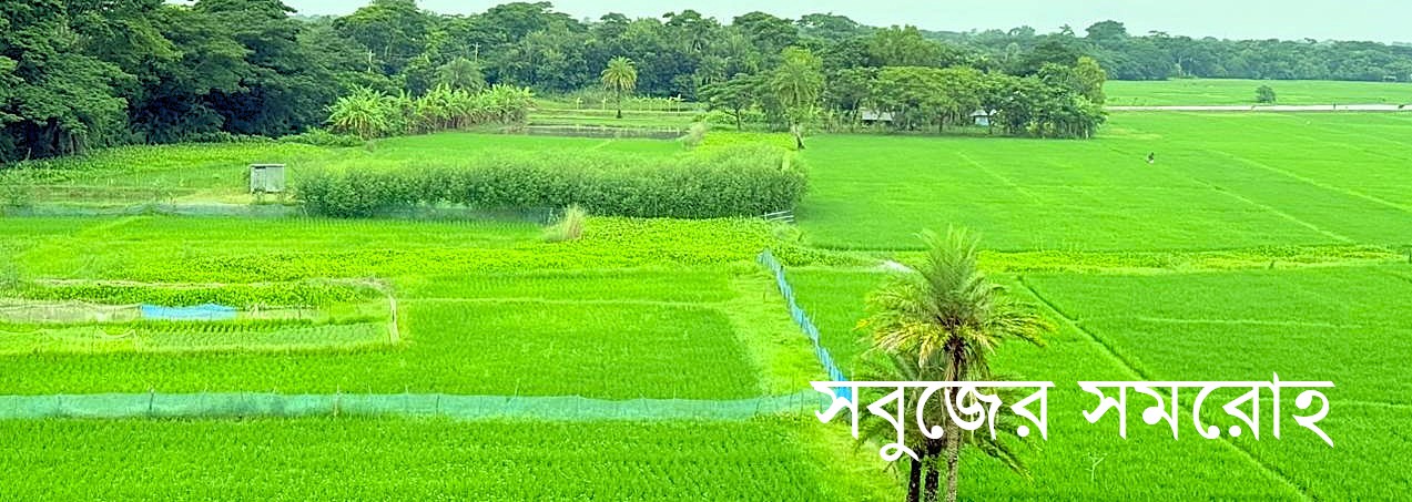 সবুজের সমরোহ