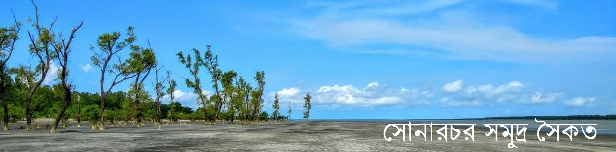 সোনার চর সমূদ্র সৈকত