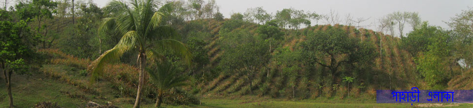 kamla