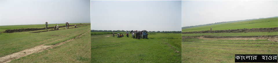 কাংলার হাওর