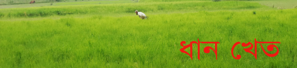 রণগোপালদী ইউনিয়ন পরিষদ