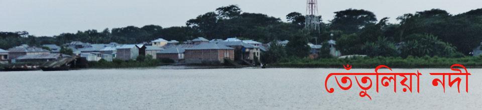 রণগোপালদী ইউনিয়ন পরিষদ