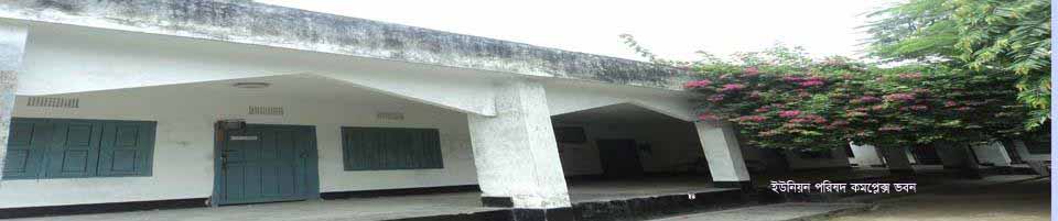 ১০নং রানীপুকুর ইউনিয়ন পরিষদ ভবন