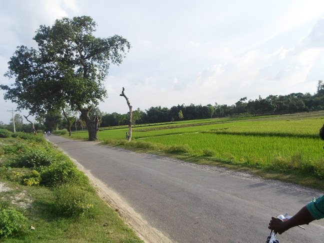 প্রকৌশল