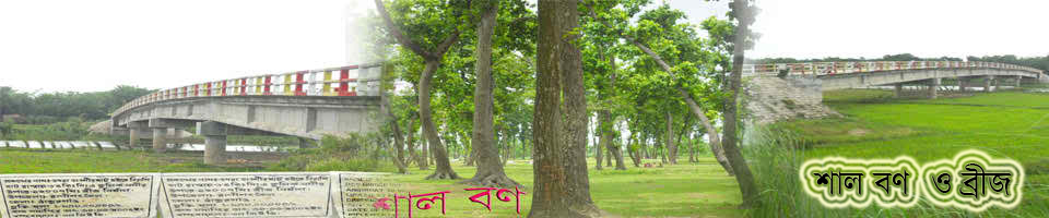 শাল বণ ও ব্রীজ