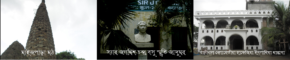 মাইজপাড়া মঠ, স্যার জগদ্বিশ চন্দ্র বসু স্মৃতি জাদুঘর ও রাঢ়ীখাল বেলায়েতীয়া হাফেজিয়া ইসলামিয়া মাদ্রাসা