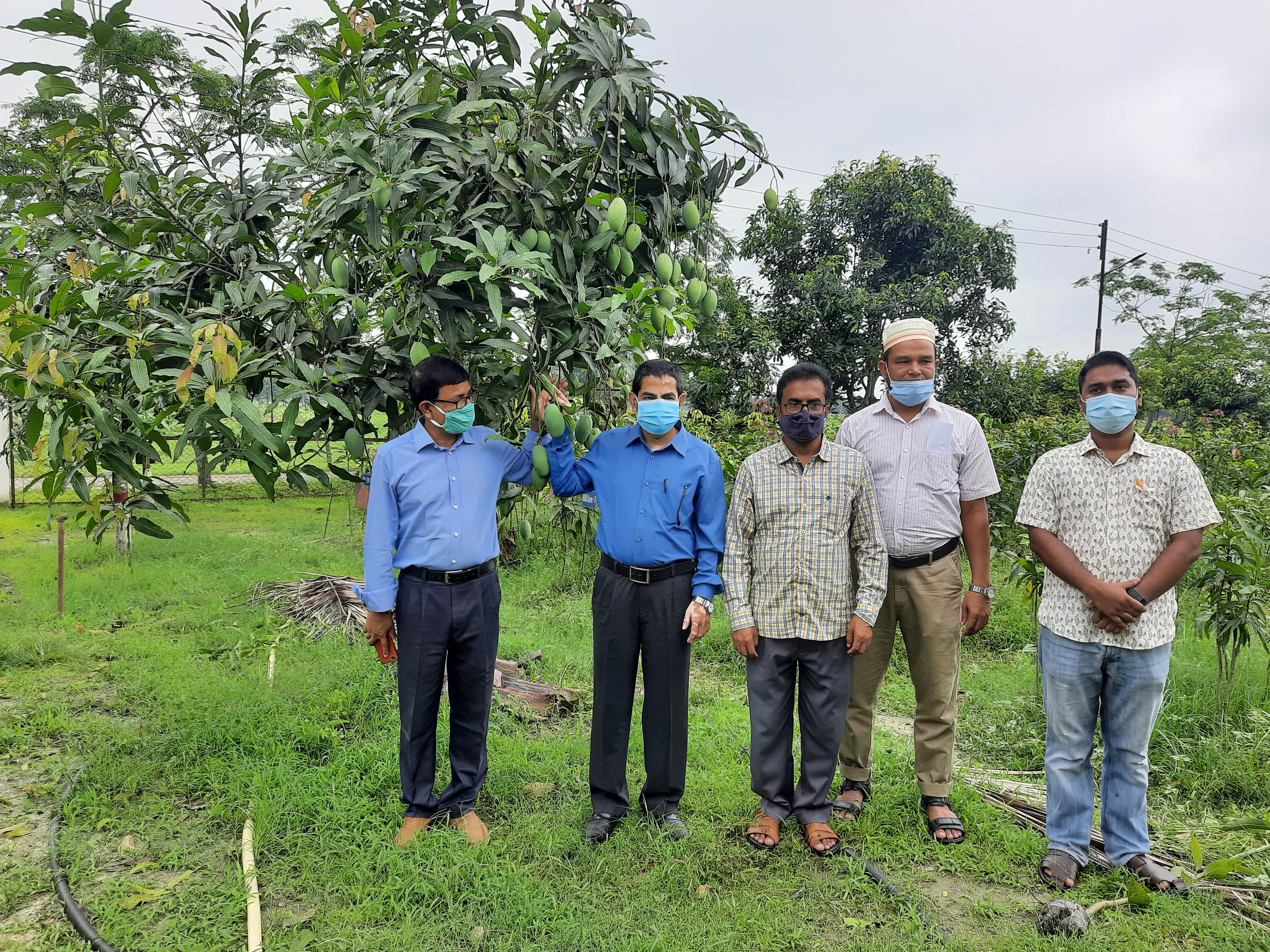 আঞ্চলিকি কৃষি গবেষণা কেন্দ্র, জামালপুরে নার্সারী পরিদর্শন।