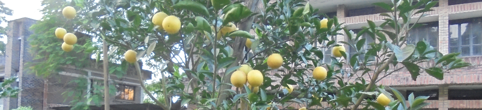 আঞ্চলিক কৃষি গবেষণা কেন্দ্র, জামালপুর