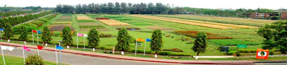 বাংলাদেশ কৃষি গবেষণা ইনস্টিটিউট, জয়দেবপুর, গাজীপুর