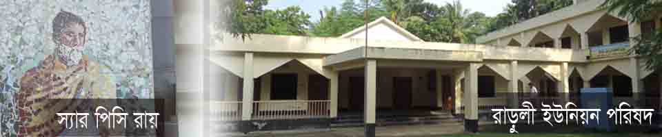 রাড়ুলী ইউনিয়ন পরিষদ