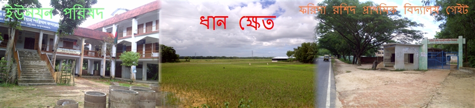 ১১নং রশিদ নগর ইউনিয়ন পরিষদ