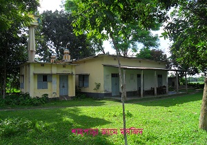 শাহপাড়া জামে মসজিদ