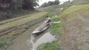 ভারির ছড়া