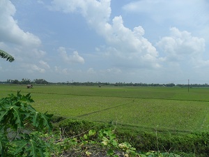 ছান্দিয়াপুর দৃবলা আচরী বিল