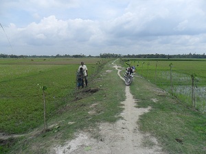 মালতলা বিল