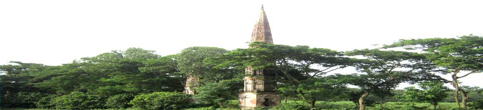 দক্ষিন তাজপুর মঠ (বাবুর বাড়ী)