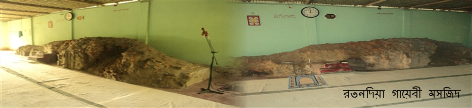 ভাষা ও সংস্কৃতি