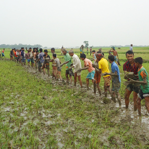 কৃষি ও প্রাণিসম্পদ