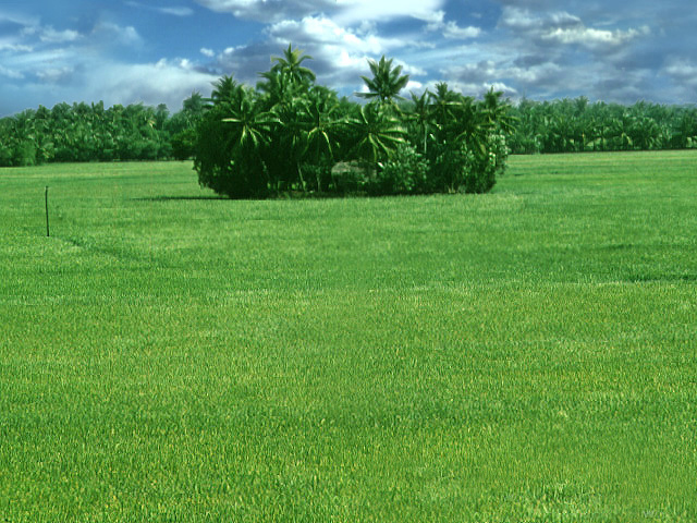 ফটোগ্যালারী