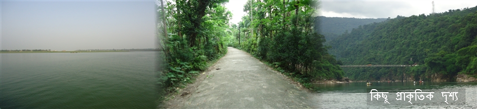 কিছু প্রাকৃতিক দৃশ্য